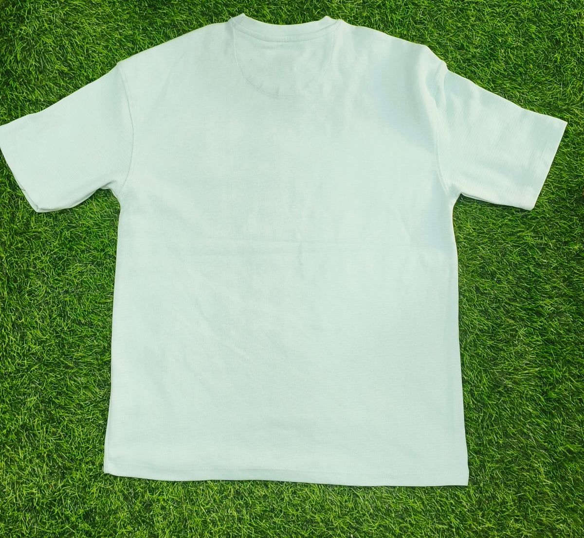 Men's Light Mint Green Round Neck T-Shirt