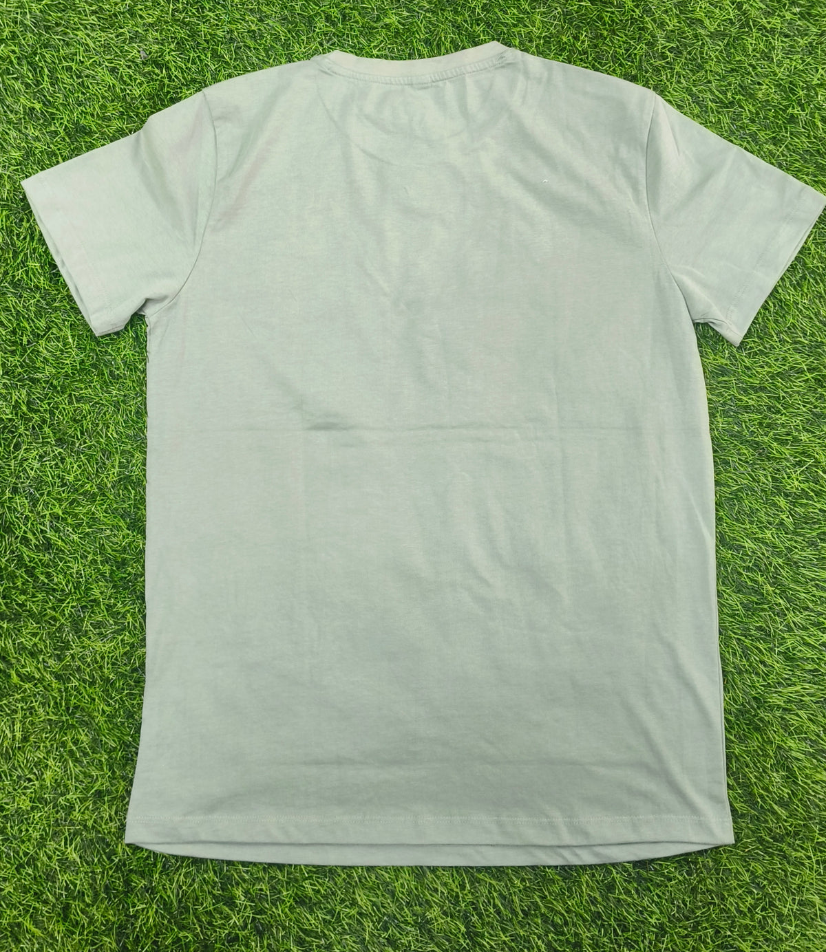Men's Light Sage Green Printed Round Neck T-Shirt
