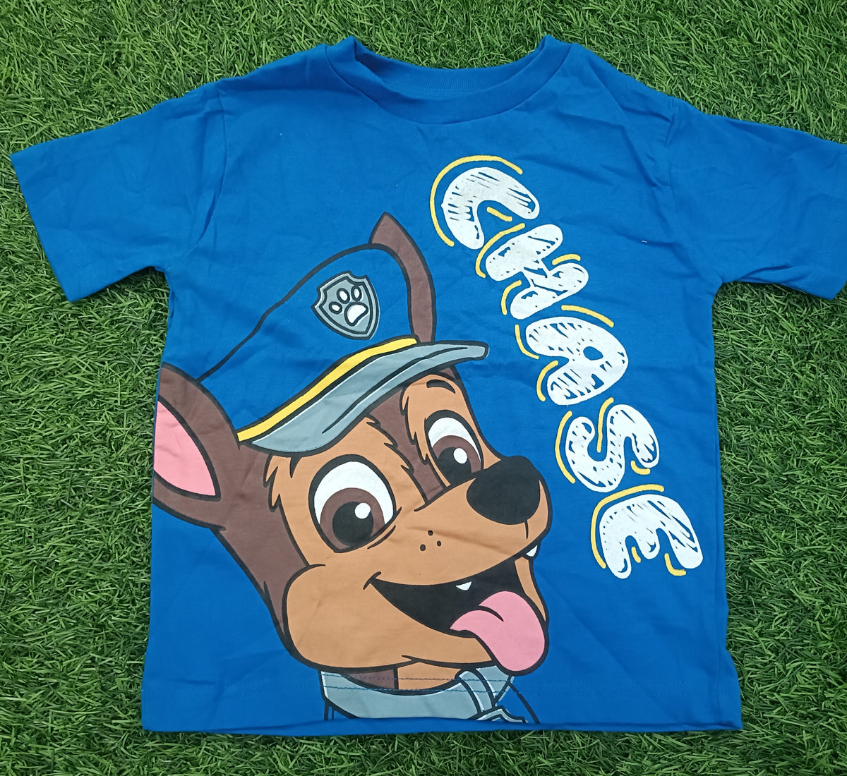 Kids Blue Cartoon Graphic Printed Round Neck Half Sleeve T-Shirt