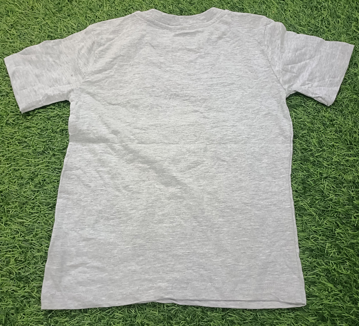 Kids Light Grey Toy Character Graphic Printed Round Neck Half Sleeve T-Shirt