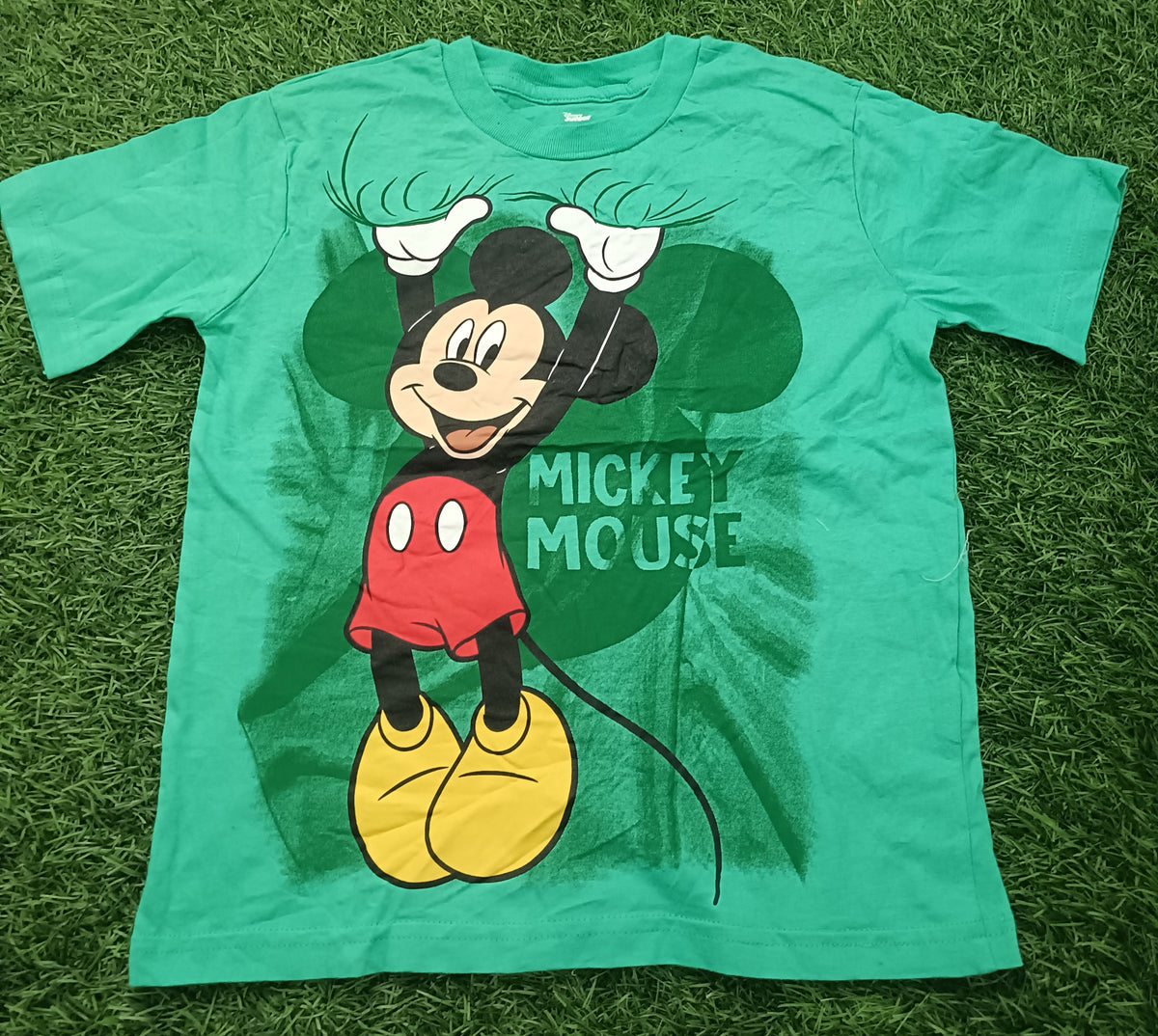 Kids Aqua Green Cartoon Character Graphic Printed Round Neck Half Sleeve T-Shirt
