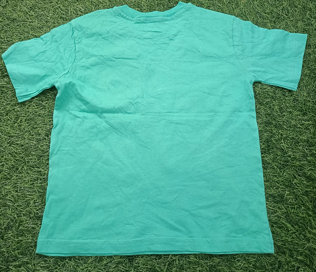 Kids Aqua Green Cartoon Character Graphic Printed Round Neck Half Sleeve T-Shirt