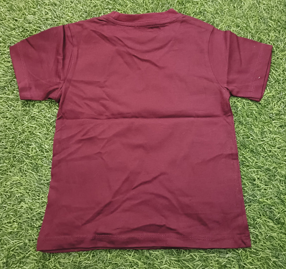 Kids Maroon Fun Ride Giraffe Graphic Printed Round Neck T-Shirt