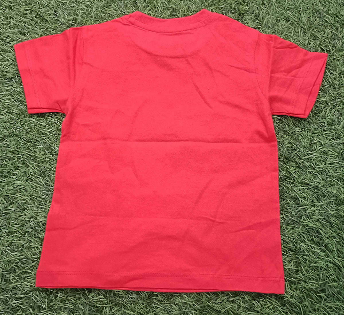 Kids Red Always On Point Dog Graphic Printed Round Neck T-Shirt