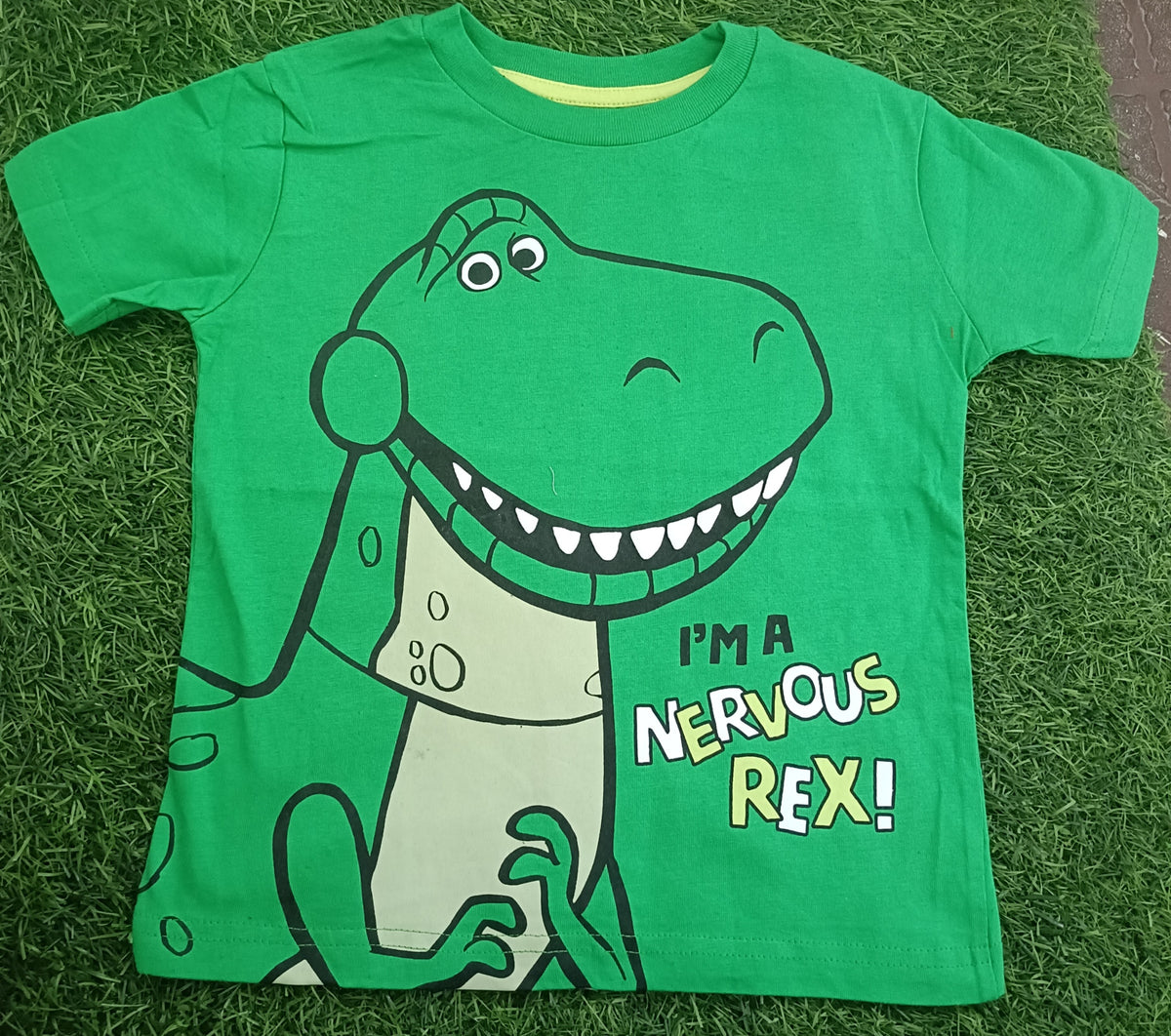 Kid's Green Nervous Dinosaur Graphic Printed T-Shirt