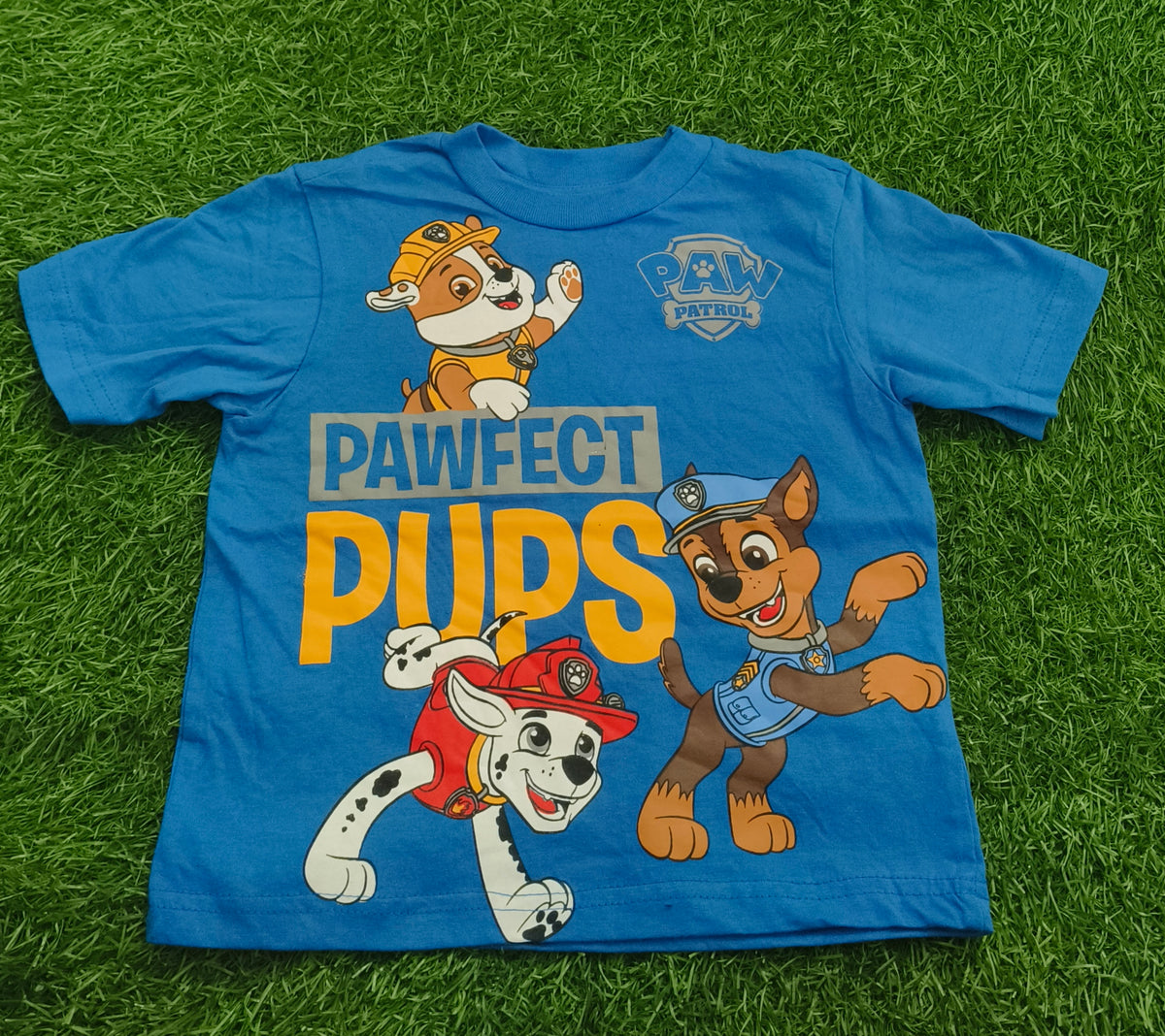 Kid's Blue Paw Patrol “Pawfect Pups” Graphic Printed T-Shirt