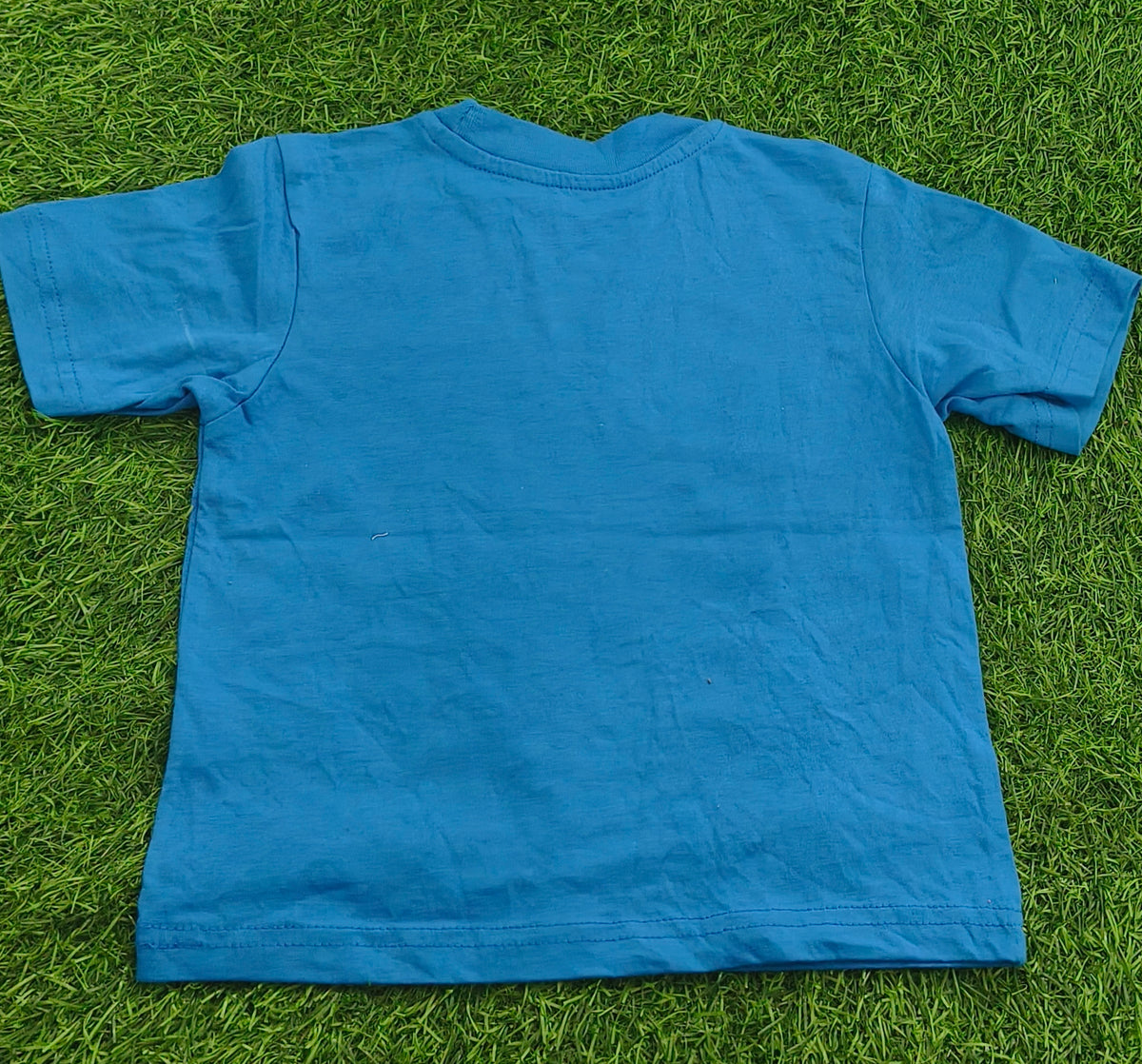 Kid's Blue Paw Patrol “Pawfect Pups” Graphic Printed T-Shirt