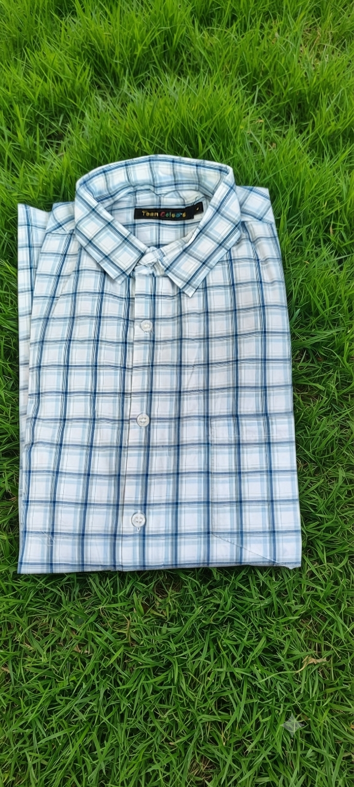 Teen Colours Men's Blue Checked Gija Cotton Casual Shirt Full Sleeve Regular Fit